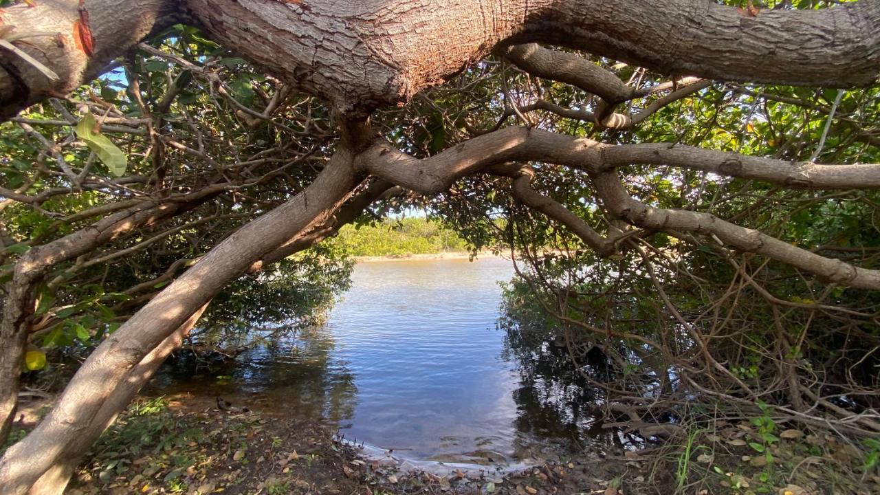 Morada Venturi Villa Atins Dış mekan fotoğraf