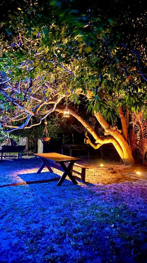 Morada Venturi Villa Atins Dış mekan fotoğraf