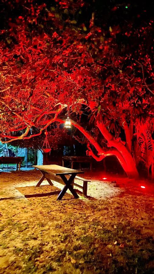 Morada Venturi Villa Atins Dış mekan fotoğraf