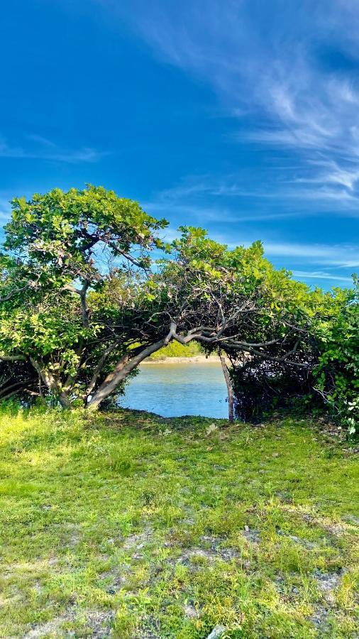 Morada Venturi Villa Atins Dış mekan fotoğraf